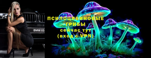 трава Беломорск