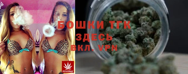 мдпв Богородск