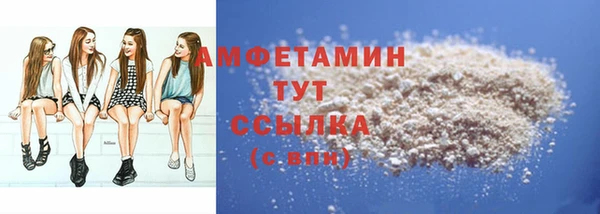 молекула духа Богородицк