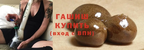 мдпв Богородск