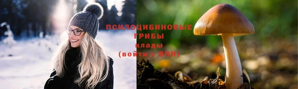 мдпв Богородск