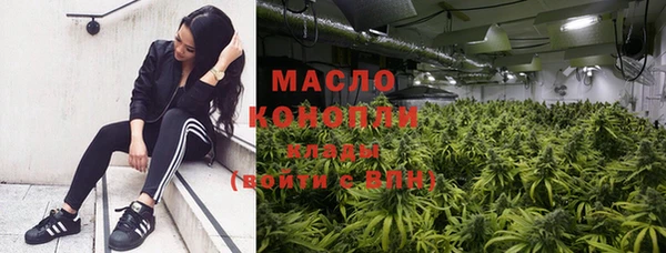 мдпв Богородск