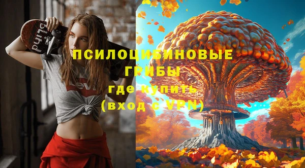 скорость mdpv Белокуриха